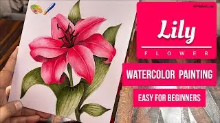 How to Paint Llily flower ? Drawing for beginners 🤗 watercolour painting very easy 🎨 #lily #drawing 