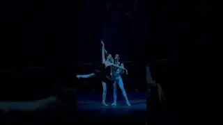 Если бы балет был под современную музыку