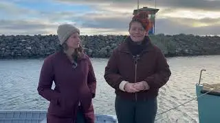 St Kilda Penguins & Pier Redevelopment | Shortened Video with Earthcare St Kilda