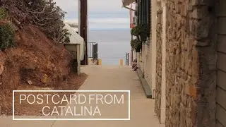 Postcard from Catalina: A Visual Journey