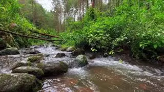 Relaxing Mountain Stream Sounds, Forest river Sounds for deep sleep, stress reliever, and meditation