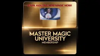 Behind The Curtain: Master Magic Mentorship Secrets Revealed