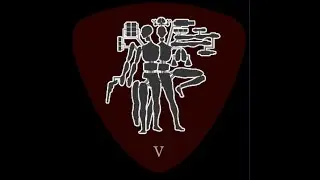 [20/D] V.V Hawkins / RECONFIG