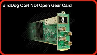 Birddog OG4 NDI Open Gear Card