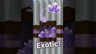Building With Exotic Blocks in Minecraft #minecraft #minecraftbuilding #minecraftshorts #relatable