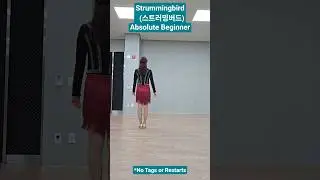 Strummingbird (스트러밍버드- Maddison Glover) / Absolute Beginner Linedance COUNT