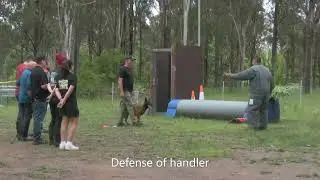 Zeus at the 11th SRC Mondioring Trial