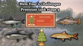 Premium Stage 9 New year challenge 2026 | Nanstein | Russian fishing 4 | #rf4 #russianfishing4