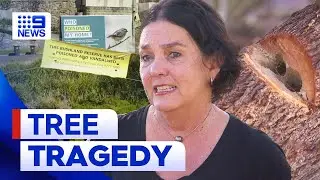 Mysterious case of environmental vandalism in Sydney | 9 News Australia