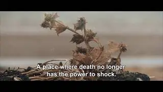 DEATH IN THE COVE 