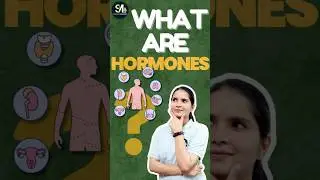 🔥Hormones Kya Hote Hain? | Body Control System Explained #sciencemagnified