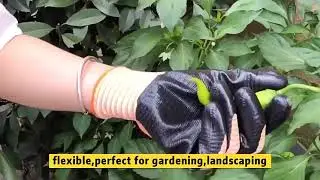Nylon Polyurethane Palm Fit Dipped PU Coated safety Work glove for assembly electronic