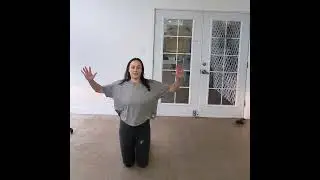 Go With The Flow Turtle Explanation Part 1 1