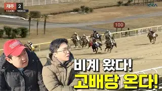비계왔다! 경마 고배당 온다!