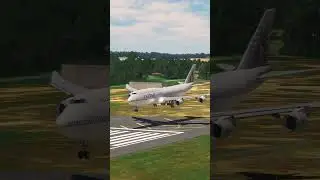 the pilot's actions endangered the plane's passengers EP272