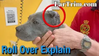 EarTrim.com Roll over video (English only)