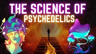 The Science and  Therapeutic Potential of Psychedelics