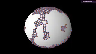 Charged particles on a sphere