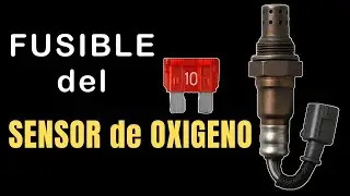 💥Cual es el FUSIBLE del Sensor de Oxigeno⚡