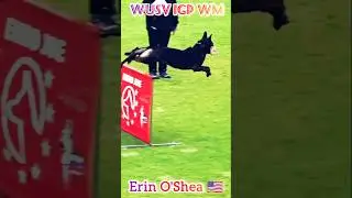 WUSV-WM 2025 3.Platz 🥉🏆 Erin O' Shea 🇺🇸 & Joker von der Beizjagd- Unterordnung #germanshepherd