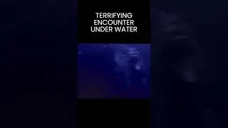 Mysterious Creature CAUGHT ON GOPRO Under Water In Lake Champlain #Shorts #LochNess #Champ