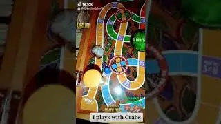 Funny Game Night Video