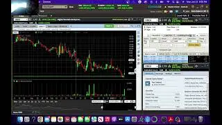 All You Need is One! $DBGI $GNS $HLBZ $VERB