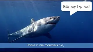 Haaie vir Kinders | Sharks for Kids &ndash; Dierefeite met Magonjatjie