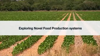 Exploring Novel Food Production Systems (Alternative Proteins)