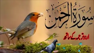 SURAH RAHMAN TARJUMA K SATH | BY QARI Al SHAIKH MUHAMMAD | EP 00686 | QURAN TILAWAT BEAUTIFUL VOICE