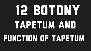 12 th botony write a short note on tapetum and its function