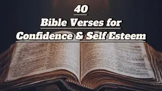 40 Best Bible Verses for Confidence and Self-Esteem
