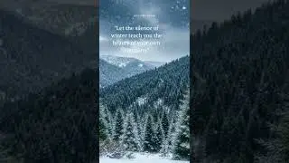 Let the silence of winter teach you the beauty of your own company. #zenithsounds #mindfulness