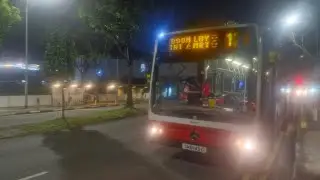 SMRT Bus Service 178 Mercedes-Benz O530 Citaro Batch SMRT SMB143G 