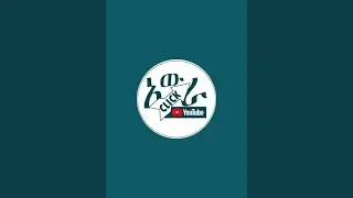 ዩቲዩብ የሚገጥመው ችግር የዩቲዩብ ነው። 🚨🚨