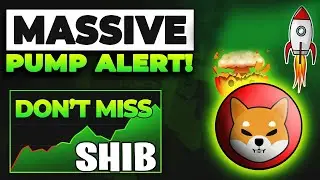 Shiba Inu (SHIB) Surges 3,015% in NetFlow Spike, but There's Catch
