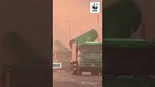 WWF-Pakistan urges shift to cleaner fuels stronger emission controls as air pollution crisis deepens
