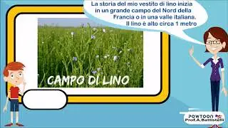 Fibre tessili #3: IL LINO. Facile in 3 minuti. Con quiz esterno