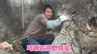 阿金遇高难度挑战，野蜂蜜藏在石洞里，不得不把高能装备搬进山