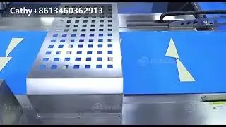 Automatic Croissant Making Machine Croissant Bread Production Line  Frozen Croissant Making Machine