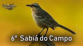 12 de janeiro de 2026