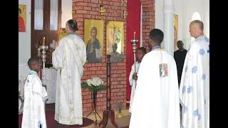 DIVINE LITURGY| Фр. Јадранко Стојановић и Фр. Цхризостом Коолиа у катедрали о светим васкрсењу  Јиња