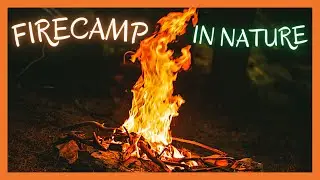 CAMPFIRE IN NATURE - Forest Ambience | Relaxing Nature Sounds | OPEN AIR Campfire #4