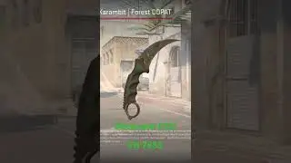 Karambit Knife | Forest DDPAT in Counter Strike 2 🔫🔥#cs2 #counterstrike #counterstrike2 #csgo #skin
