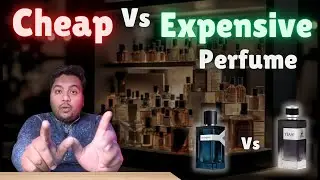 CHEAP VS EXPENSIVE PERFUME