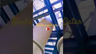 biodiesel plant Qatar 🇧🇭#daily routine activity #welding fabrication #the fabrication lab #trending