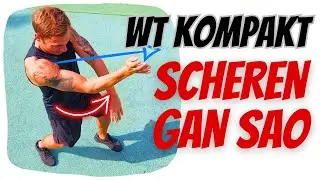 Wing Chun training at home - Scheren Gan Sao movement - Wing Chun techniques for beginners