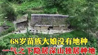 68岁苗族大娘城里没有地种，一气之下隐居深山独居生活，种地养鸡自给自足！【乡村阿泰】