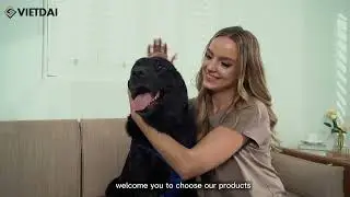 VIETDAI biodegradable dog poop bags