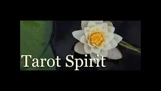 SCORPIO ~ March 2019 Tarot Reading